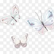 手绘蝴蝶矢量图-空若网 手绘蝴蝶矢量图-空若网