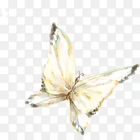 卡通手绘蝴蝶-空若网 卡通手绘蝴蝶-空若网