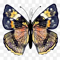 �ֻ����-������