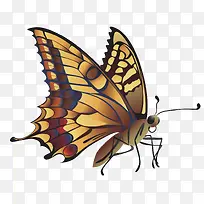 卡通手绘蝴蝶-空若网 卡通手绘蝴蝶-空若网