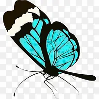 �ֻ����-������