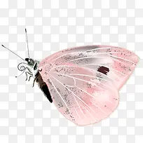 手绘蝴蝶-空若网 手绘蝴蝶-空若网
