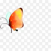 手绘水彩黄色蝴蝶-空若网 手绘水彩黄色蝴蝶-空若网