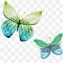 手绘蝴蝶-空若网 手绘蝴蝶-空若网