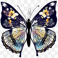 手绘蝴蝶-空若网 手绘蝴蝶-空若网