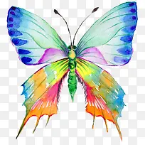 多彩缤纷花蝴蝶飞舞-空若网 多彩缤纷花蝴蝶飞舞-空若网