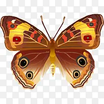 手绘蝴蝶-空若网 手绘蝴蝶-空若网