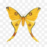 ºûµû-¿ÕÈôÍø ºûµû-¿ÕÈôÍø