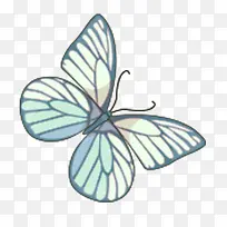 蝴蝶-空若网 蝴蝶-空若网