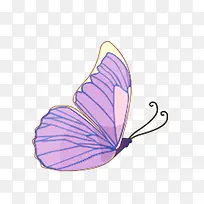 蝴蝶-空若网 蝴蝶-空若网