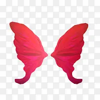 蝴蝶翅膀-空若网 蝴蝶翅膀-空若网