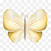 手绘蝴蝶-空若网 手绘蝴蝶-空若网