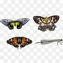 �ֻ����-������