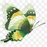 绿色卡通手绘插画蝴蝶-空若网 绿色卡通手绘插画蝴蝶-空若网