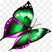 手绘绿色蝴蝶插画-空若网 手绘绿色蝴蝶插画-空若网