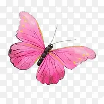 ��ɫ�������ֻ����-������