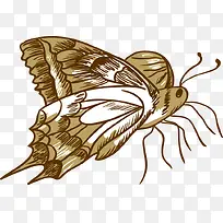 手绘花纹昆虫蝴蝶-空若网 手绘花纹昆虫蝴蝶-空若网