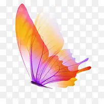 炫彩时尚手绘春天蝴蝶-空若网 炫彩时尚手绘春天蝴蝶-空若网