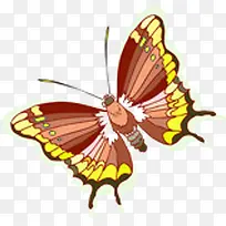 红色时尚蝴蝶手绘-空若网 红色时尚蝴蝶手绘-空若网