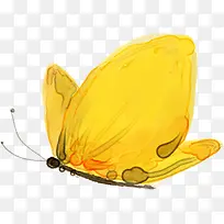 ��ɫ�ɰ������ֻ�-������