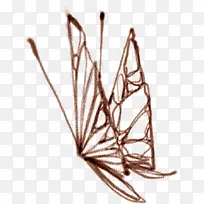 可爱手绘唯美蝴蝶翅膀-空若网 可爱手绘唯美蝴蝶翅膀-空若网