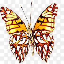 可爱唯美手绘蝴蝶-空若网 可爱唯美手绘蝴蝶-空若网