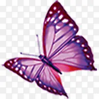 手绘紫色蝴蝶创意-空若网 手绘紫色蝴蝶创意-空若网