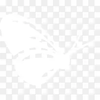 白色手绘卡通蝴蝶-空若网 白色手绘卡通蝴蝶-空若网