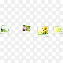 可爱花朵相册春天-空若网 可爱花朵相册春天-空若网