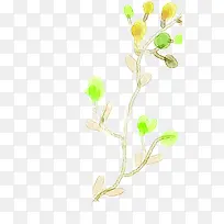 时尚插画春天花朵植物-空若网 时尚插画春天花朵植物-空若网