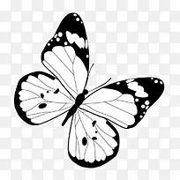 手绘蝴蝶创意插画-空若网 手绘蝴蝶创意插画-空若网