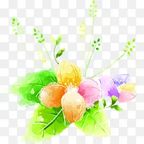 ����ˮ�ʻ���ֲ��-������