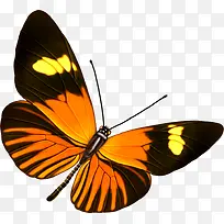 �����ֻ�ϳɷ���ĳ�ɫ����-������