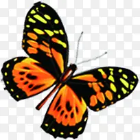 唯美时尚春天花朵-空若网 唯美时尚春天花朵-空若网