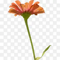 ˮ�ʴ��컨������-������