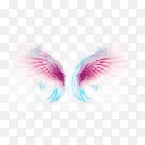 ��ɫ���-������