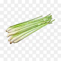 柠檬草免费下载-空若网 柠檬草免费下载-空若网