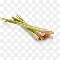 柠檬草免费下载-空若网 柠檬草免费下载-空若网