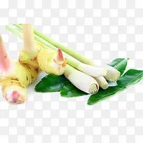 ���ʲ��������-������