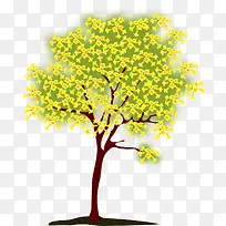 绽放的树-空若网 绽放的树-空若网