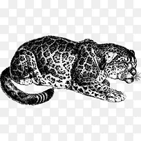 猛兽插画-空若网 猛兽插画-空若网