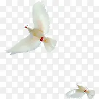 ��ɫ���ӷ��ڿ���-������