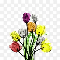 ��ɫˮī��-������