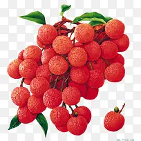 夏日清凉水果荔枝-空若网 夏日清凉水果荔枝-空若网