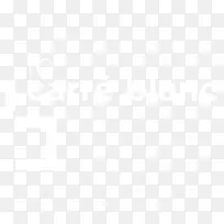 联合国大学计算机与社会学会电子邮件商务标识信息-鸽子-空若网 联合国大学计算机与社会学会电子邮件商务标识信息-鸽子-空若网