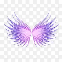 紫色翅膀-空若网 紫色翅膀-空若网