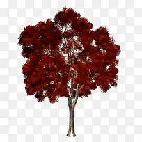 紫色的树-空若网 紫色的树-空若网