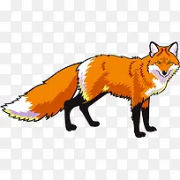 �ֻ����-������