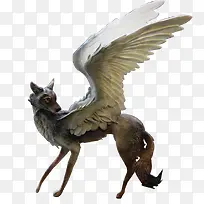 长翅膀的狐狸卡通-空若网 长翅膀的狐狸卡通-空若网