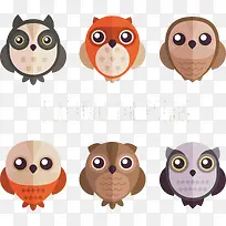 ��ͨСӥ�������-������